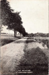 Entrance Lane Fordhook Farms Doylestown PA Advertising Antique Postcard KJ6