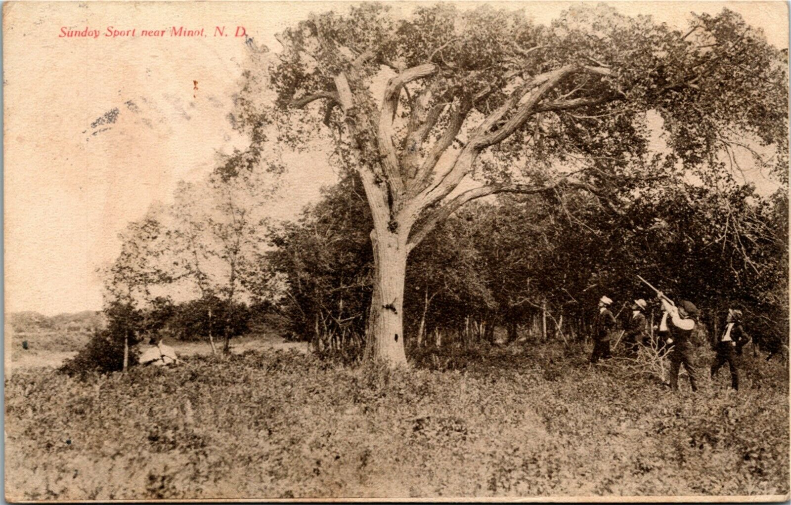Postcard ND Sunday Sport Bird Hunting near Minot Hunters Rifles 1907
