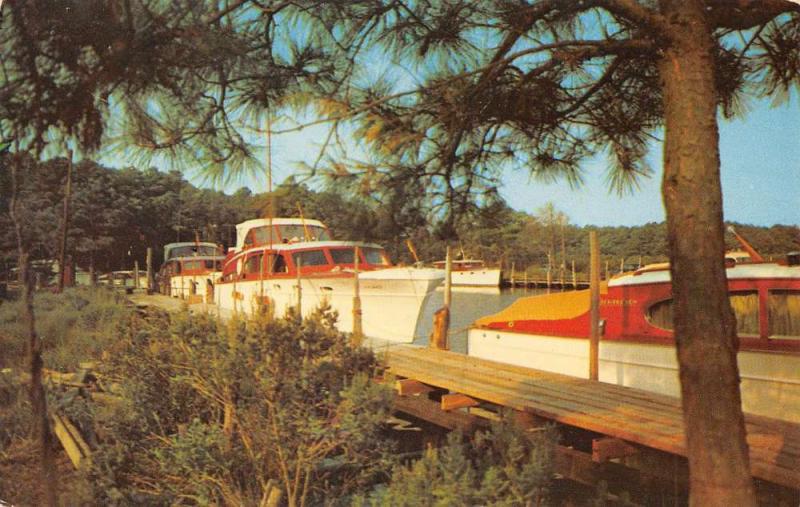 Rehoboth Beach Delaware Henlopen Yacht Basin Vintage Postcard K106722