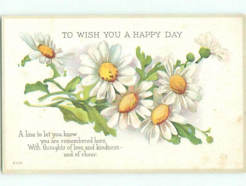 Divided-Back BEAUTIFUL FLOWERS SCENE Great Postcard AA2980