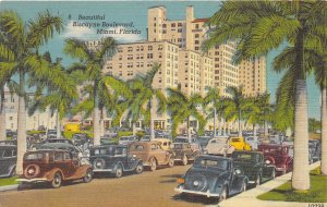 Miami Florida 1940s Postcard Beautiful Biscayne Boulevard Cars