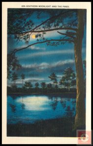 Southern Moonlight and the Pines