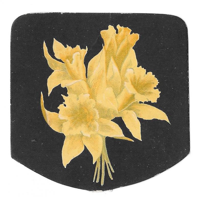 Small Victorian Trade Card Clothes John Wanamaker Philadelphia PA Daffodils