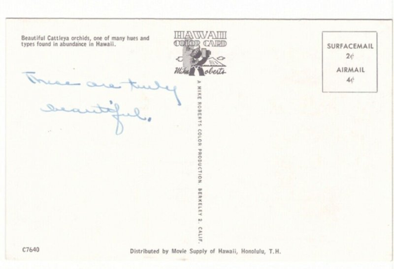 Cattleya Orchids From Hawaii, Vintage Chrome Postcard