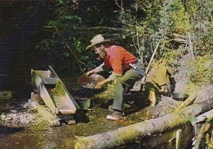 Canada British Columbia Gold Panning