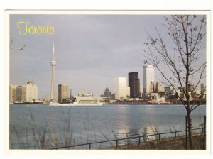 CN Tower, Skyline At Morning, Toronto, Ontario, Chrome Postcard