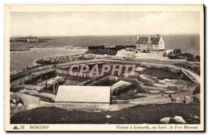 Old Postcard Roscoff Viviers lobsters basically strong Bloscon