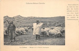 BT16134 Le liban berger de haute montagne sheep moutons beyrouth lebanon