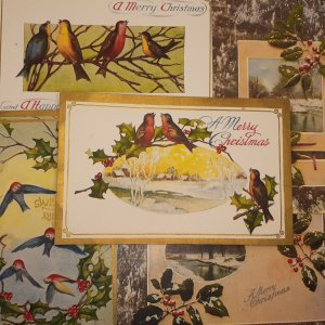 Christmas Post Card Lot of 22 - Birds, Holly, Poinsettia all unposted