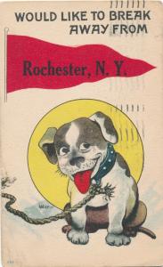 Greetings from Rochester New York Dog with like to Break Away a/s Witt pm 1916
