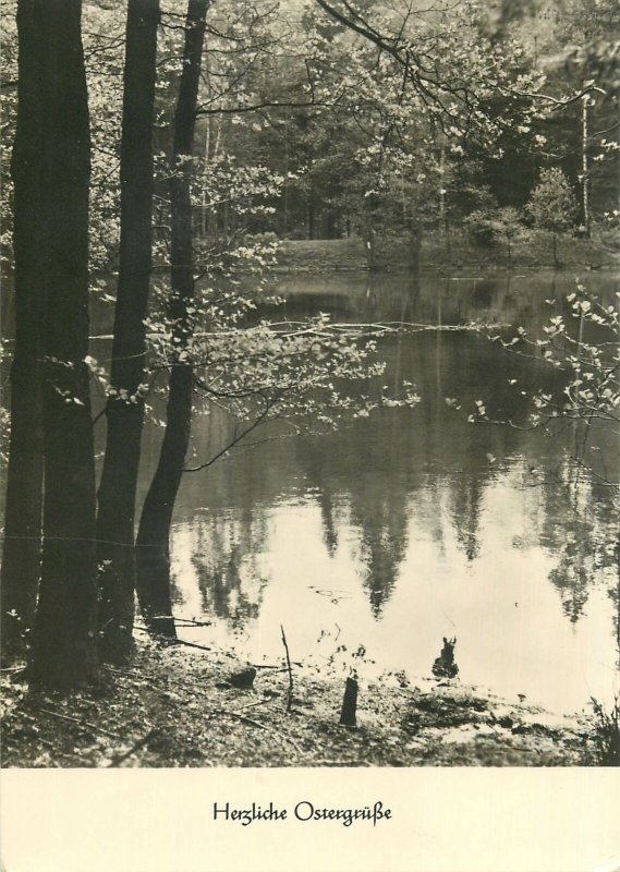 Germany forest area lake view nature Postcard