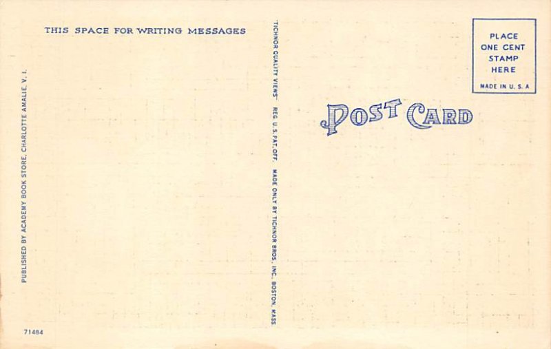 Giant Flame Tree Saint Thomas Virgin Islands Postcard