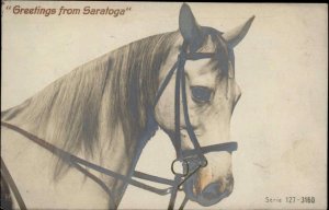 Saratoga NY Race Horse 127-3160 c1910 Real Photo Postcard