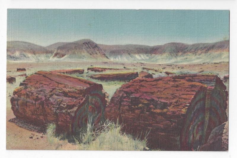 AZ Petrified Forest Agartized Logs 1939 Curteich Linen Arizona Postcard