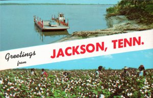 2 Greetings from Jackson, TN & Carutherville, Mo. Postcards