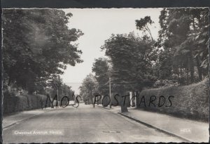 Yorkshire Postcard - Chestnut Avenue, Hessle    B438