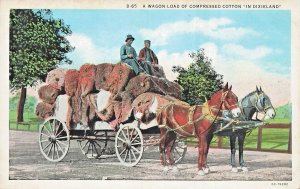 HORSE WAGON LOAD OF COMPRESSED COTTON IN DIXIELAND-BLACK AMERICANA POSTCARD