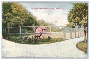 1909 The Elks Home In Bradley Park Peoria Illinois IL Posted Antique Postcard