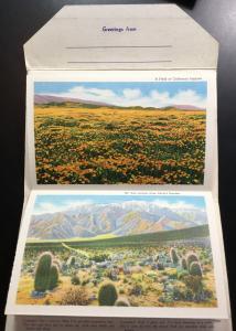 Unused Linen Souvenir Folder w/9 Double sided pics New Mexico LB