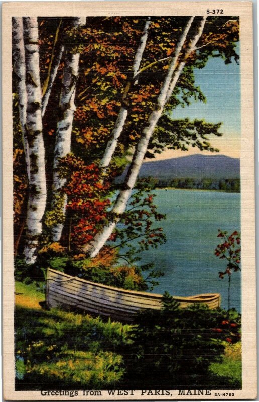 Scenic View, Birches, Lake, Greetings from West Paris, ME Vintage Postcard O08