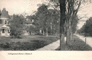 Vintage Postcard Collingswood Avenue Roads and Highways Toledo Ohio OH