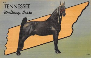 Tennessee Walking Horse Tennessee, USA Horse 1956 