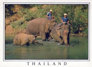 VINTAGE CONTINENTAL SIZE POSTCARD MAHOUTS LEADING ELEPHANTS TO BATH THAILAND