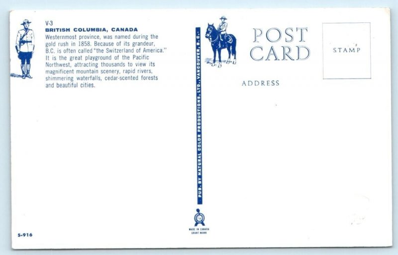 Greetings From British Columbia illustrated map CANADA Postcard