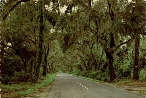 Summerville, South Carolina, Ashley River, Charleston, gardens. Postcard