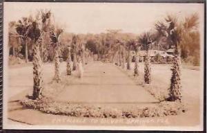 FL Silver Springs Entrance RPPC