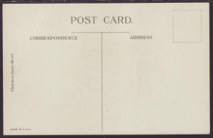 A Merry Christmas Flag Holly