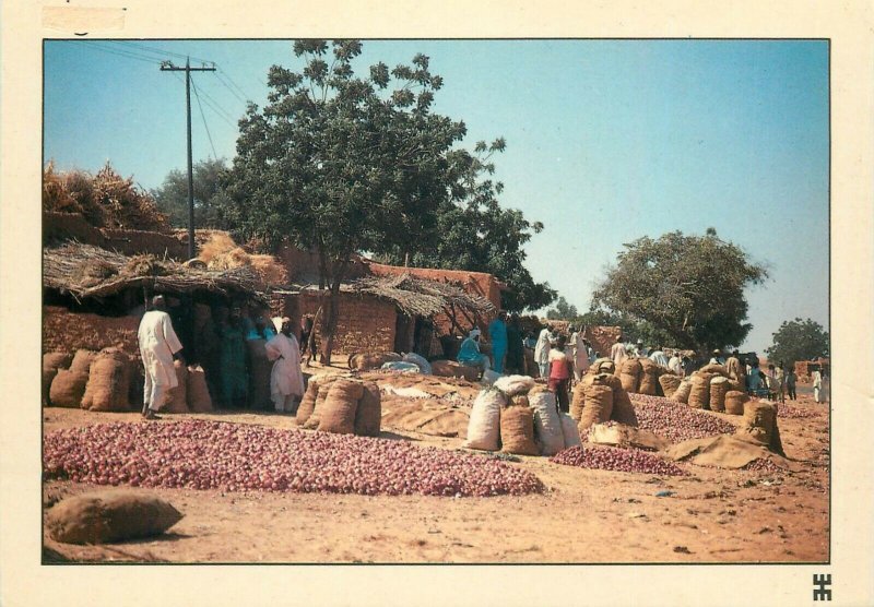 Niger Serifaoua market near Galmi violet onions culture postcard