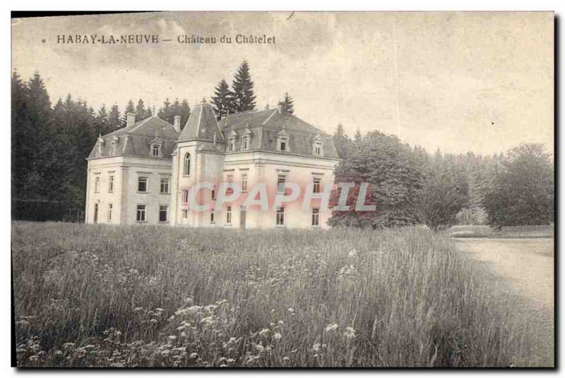 Old Postcard Chateau du Chatelet Habay la Neuve