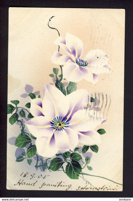 Hand drawn / painted watercolor 1905 mauve flowers Yokohama Japan