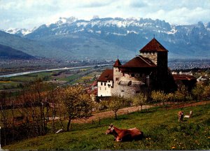 Liechtenstein Schloss Vaduz Rheintal Kreuzberge