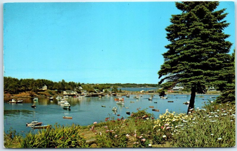 Postcard - Bailey Island, Looking north into Picturesque Mackerel Cove - Maine