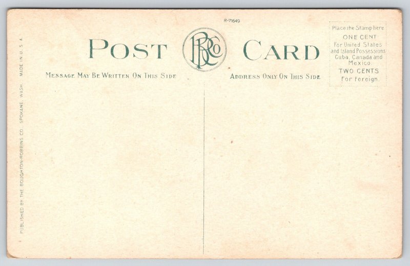 Montana~Traveling Thru Mountains~Train Exits Tunnel~Engineer at Window~c1910 PC