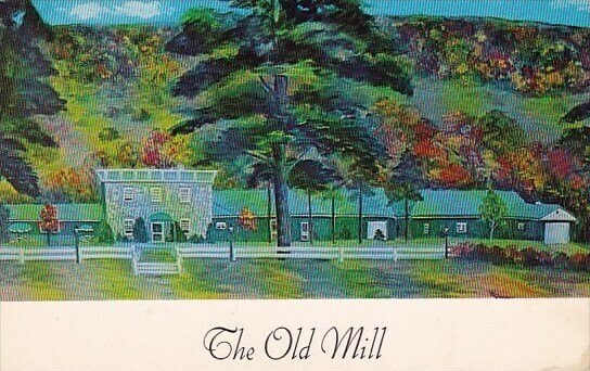 Choice Food The Old Mill Mount Upton New York