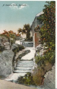 Central America Postcard - A Sketchy Path - Bermuda - Ref ZZ5278