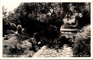 Real Photo Postcard Patio Garden at Tumacacori National Monument, Arizona