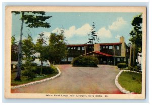 c1940's White Point Lodge Near Liverpool Nova Scotia Canada Vintage Postcard