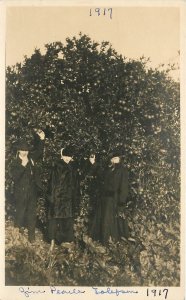 Postcard RPPC Photo 1917 People Orange Grove Farm Agriculture 22-13357