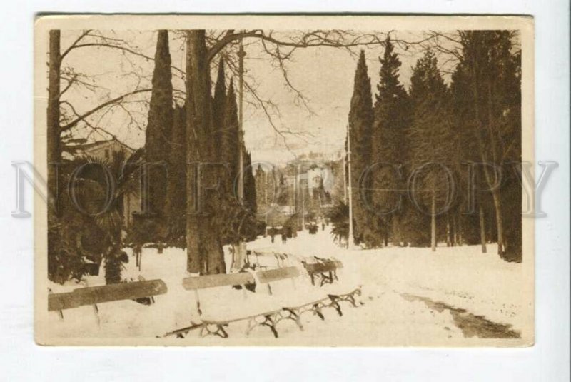 426829 RUSSIA  Yalta city garden in the snow Vintage postcard