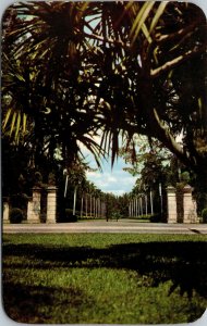 Vtg Hialeah Race Course Horse Racing Entrance Miami Florida FL Postcard