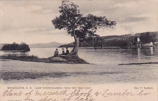 Lake Winnipesaukee From The Old Oak Meredith New Hampshire 1909