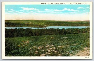 1932 Birds Eye View Canadohta Lake Near Union City Pennsylvania Posted Postcard