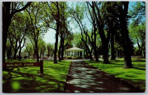 Vtg Petaluma California CA Walnut Park View Postcard