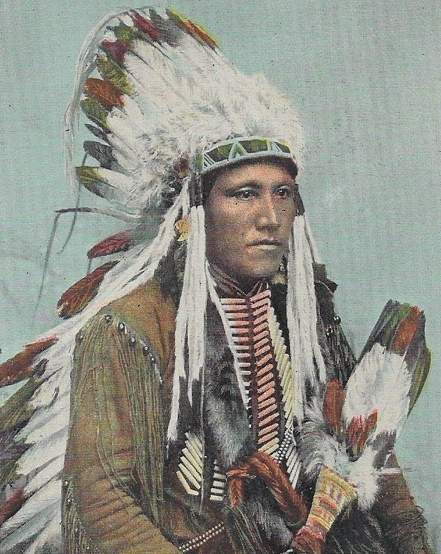 H-045  - A Western Indian Chief UDB Real Color Picture Postcard