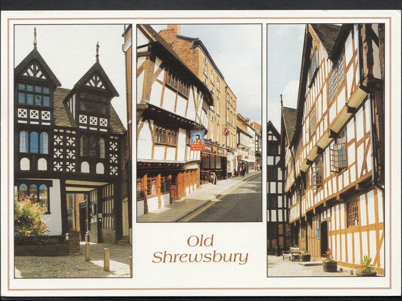 Shropshire Postcard - Views of Old Shrewsbury, Rowley's House Museum   LC4614