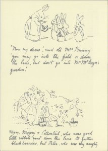 Children's Art Postcard-Beatrix Potter Characters,Artist Frederick Warne RR17327